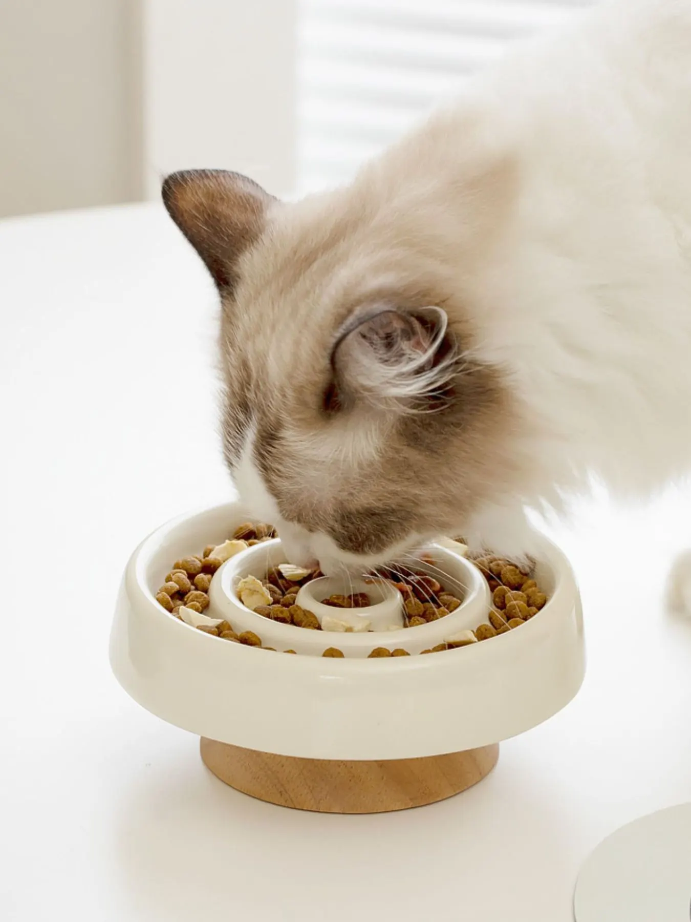 Interactive Slow Feeder Pet Bowl