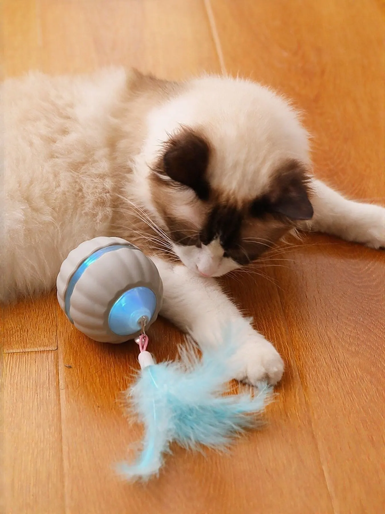 Interactive LED Sound Ball with Feather Teaser